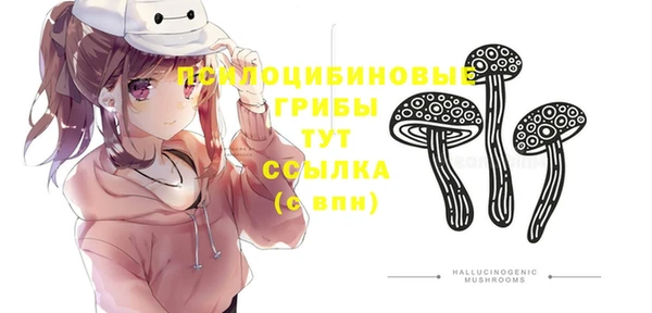 шишки Приозерск