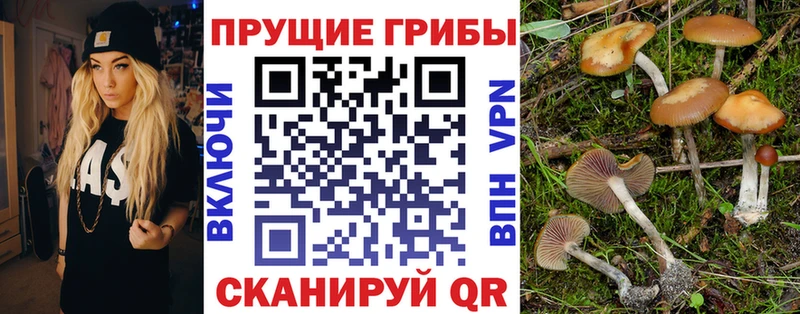 Галлюциногенные грибы мицелий  хочу наркоту  Пересвет 